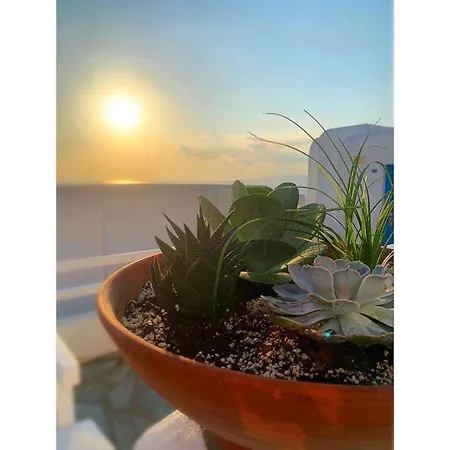 Madalena Hotel Mykonos Town