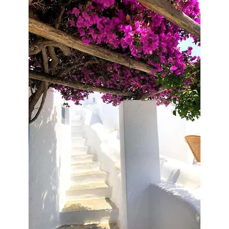 Madalena Mykonos Town